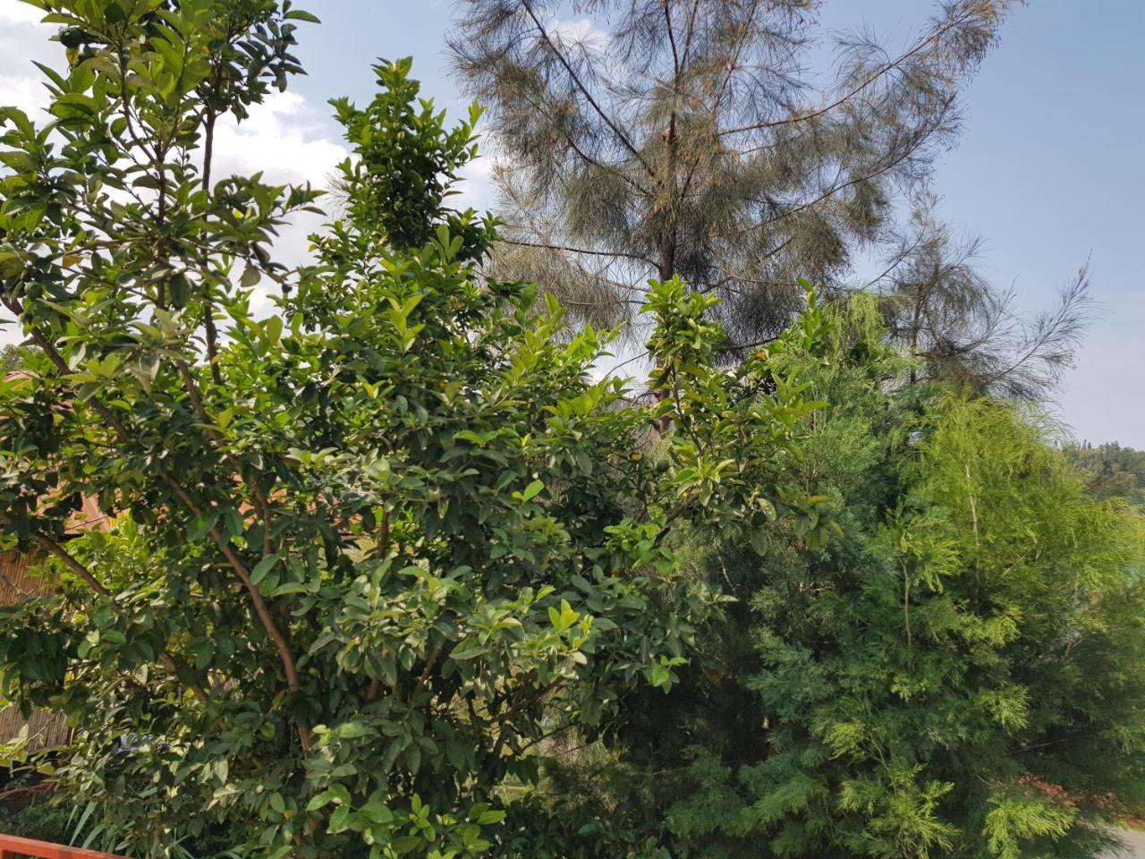 Rebero Kivu Resort Kibuye Экстерьер фото